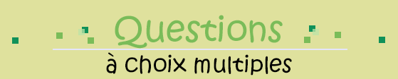 Logo Questions à choix multiples